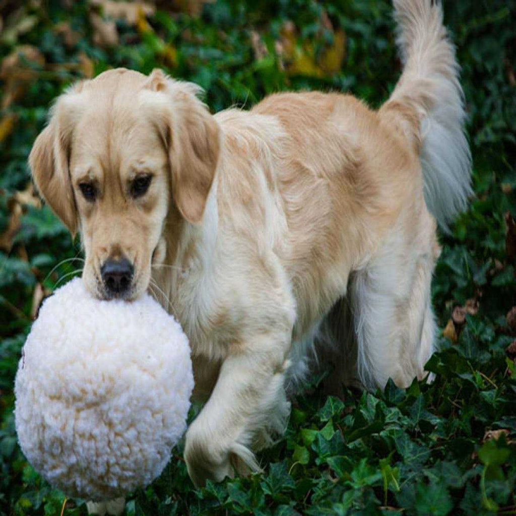 Fleece Ball Dog Toy Q304