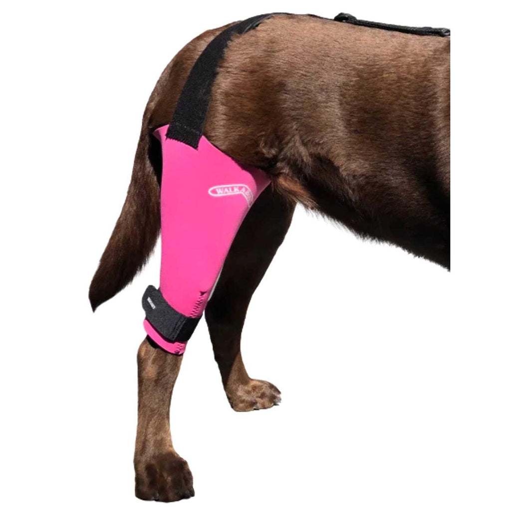 Dog & Cat Knee Brace J596