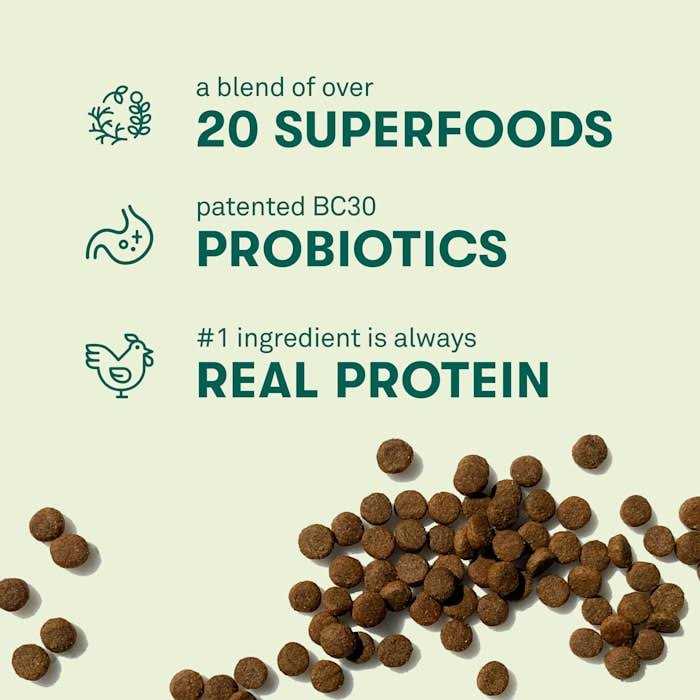 Grain Free Dog Food U94624