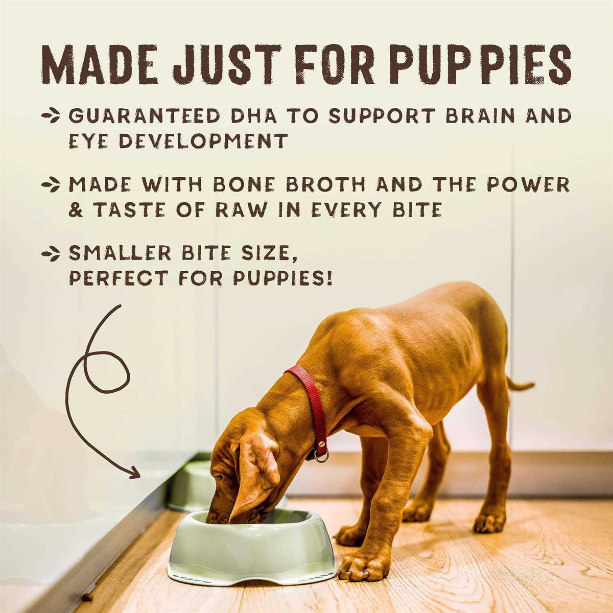 Cage Free Chicken & Wild Caught Salmon Puppy Recipe D620