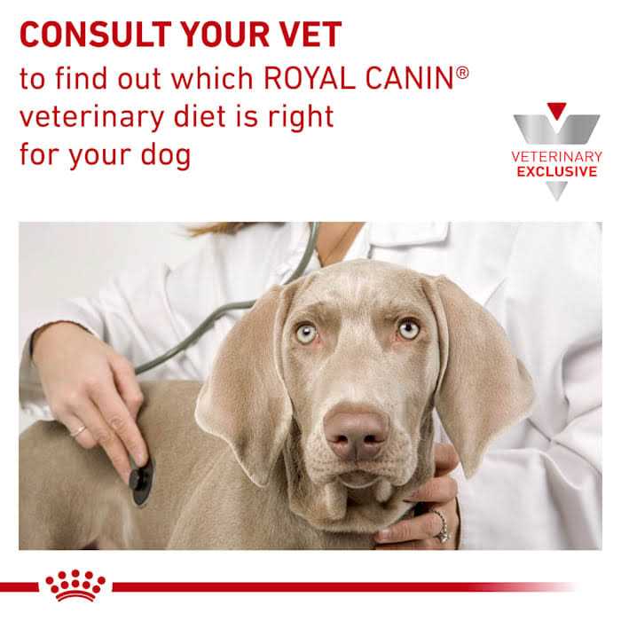 Hydrolyzed Protein Dry Dog Food E86209
