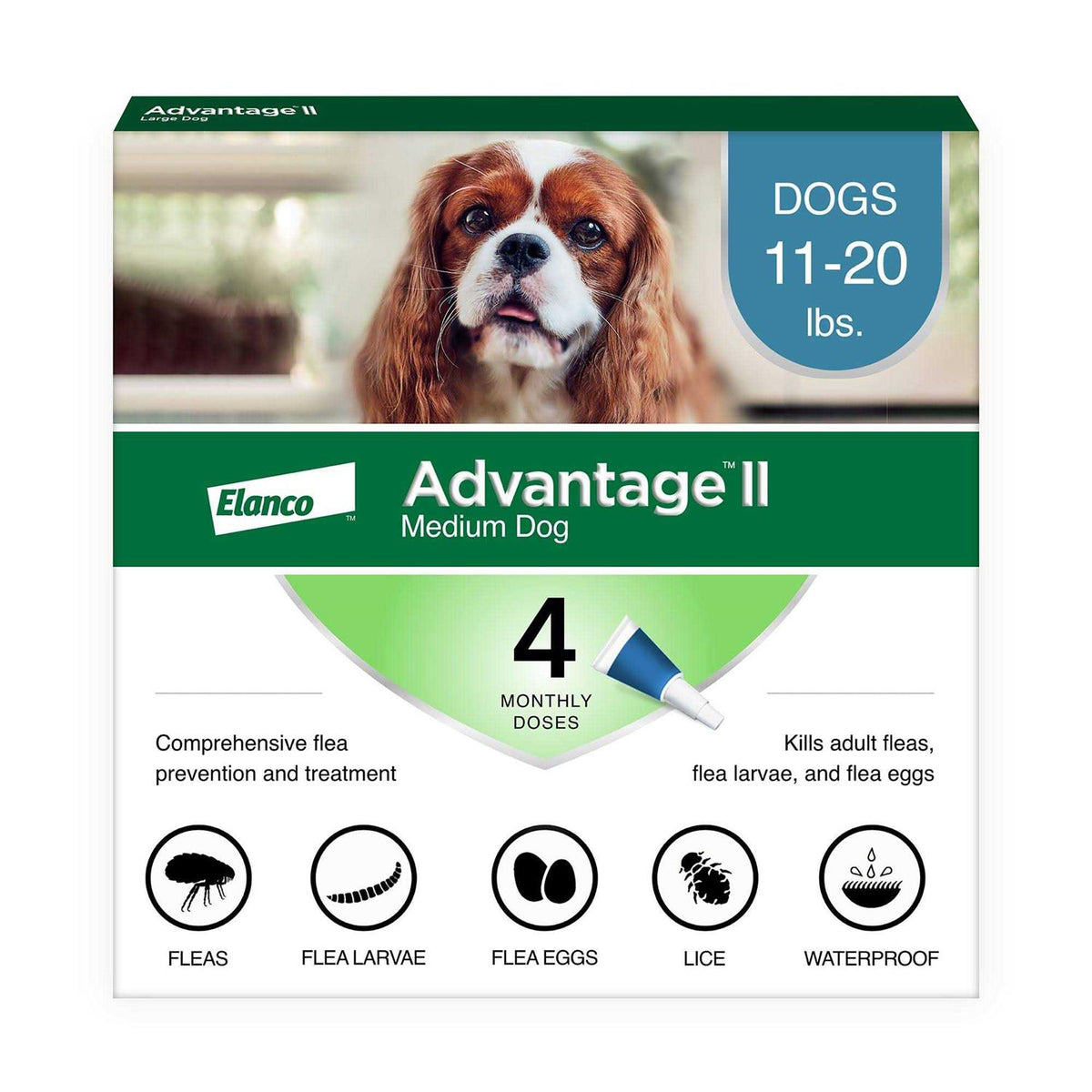 Advantage II for Dogs Medium B6267