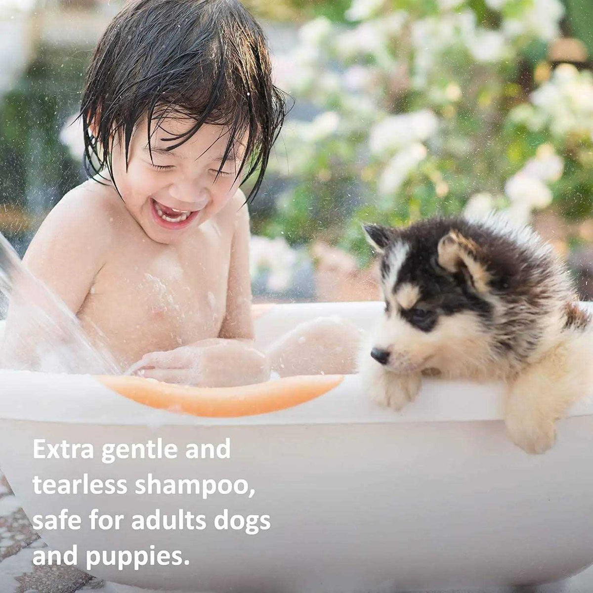 Extra Gentle Tearless Shampoo S1646