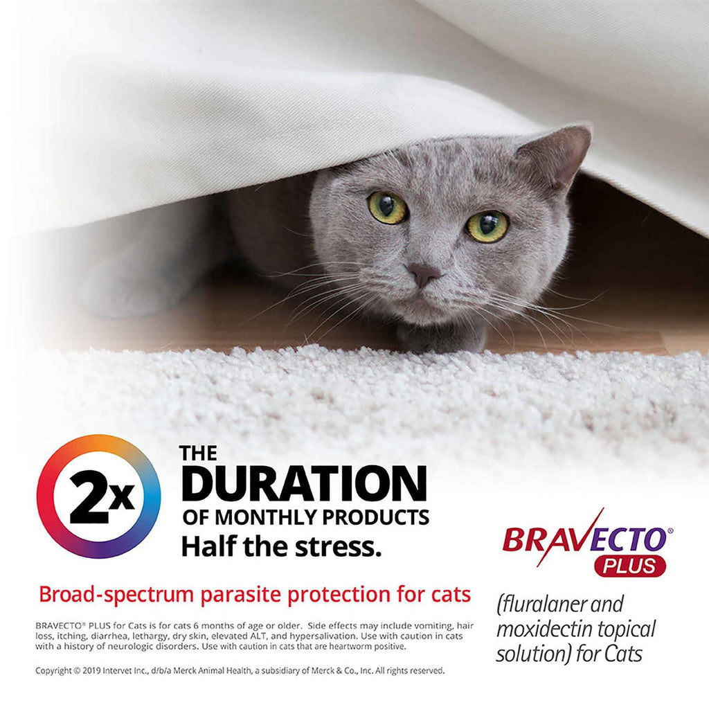 Topical Solution for Cats W5727