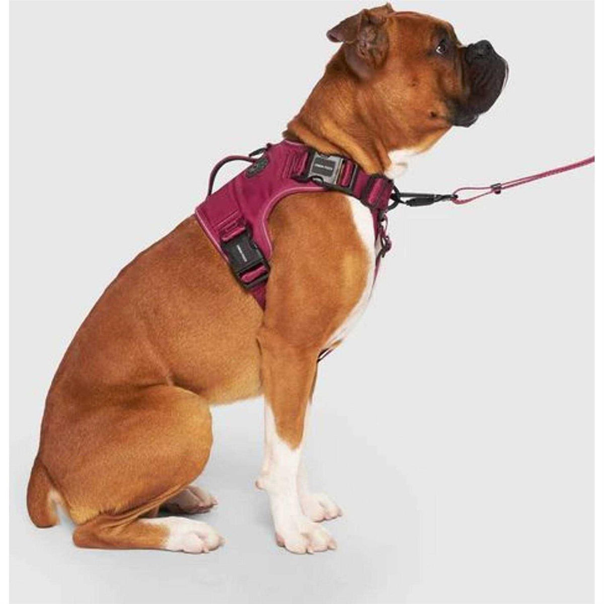 Complete Control Dog Harness C980181