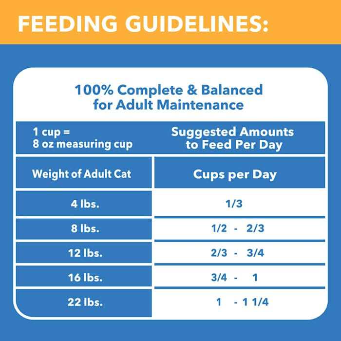 Chicken & Beef Dry Cat Food Z70981