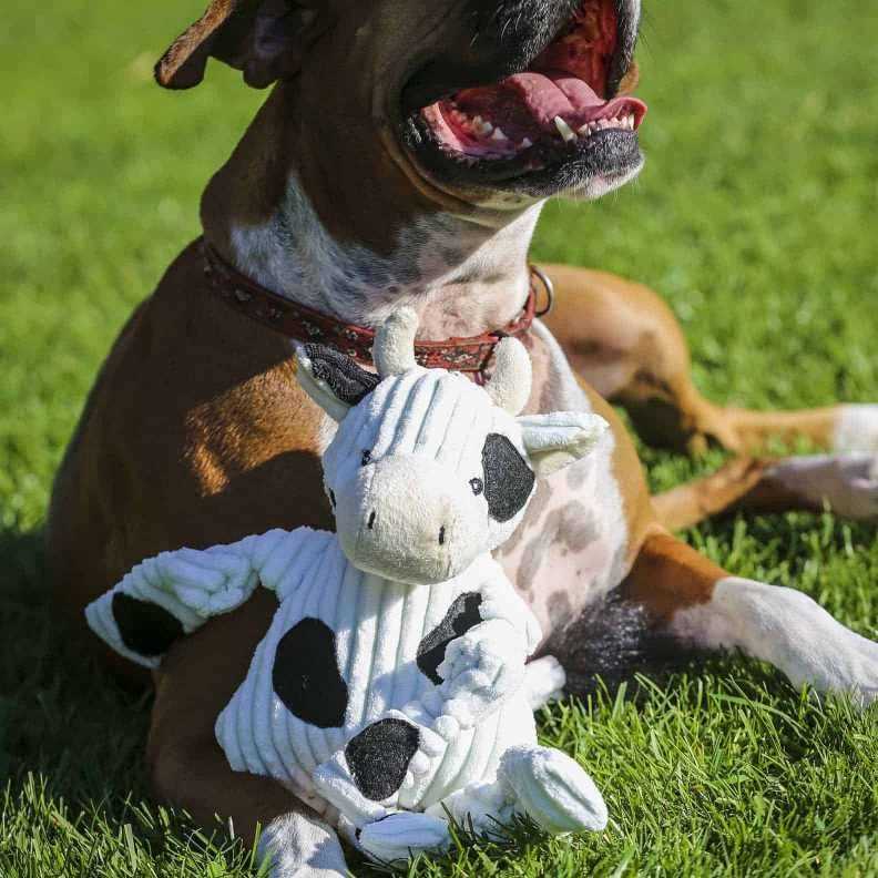 Ruff-Tex Dog Toy Y2739