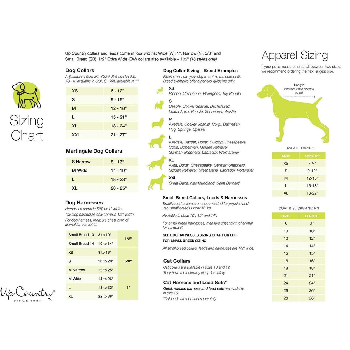 Dog Collar P13201