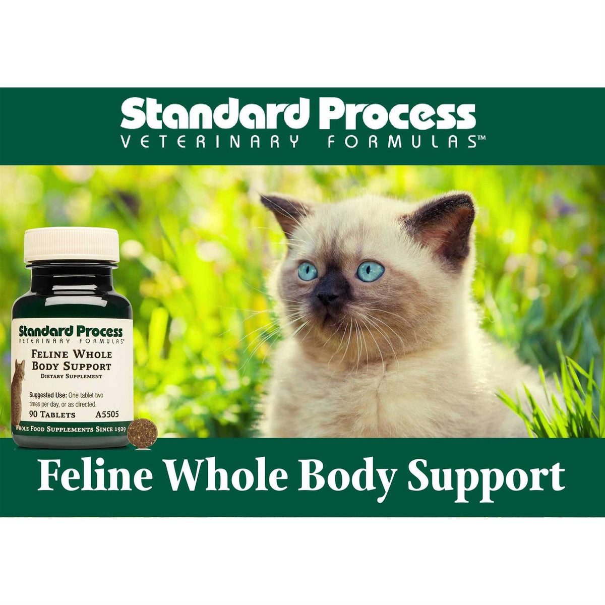 Whole Body Support S2529
