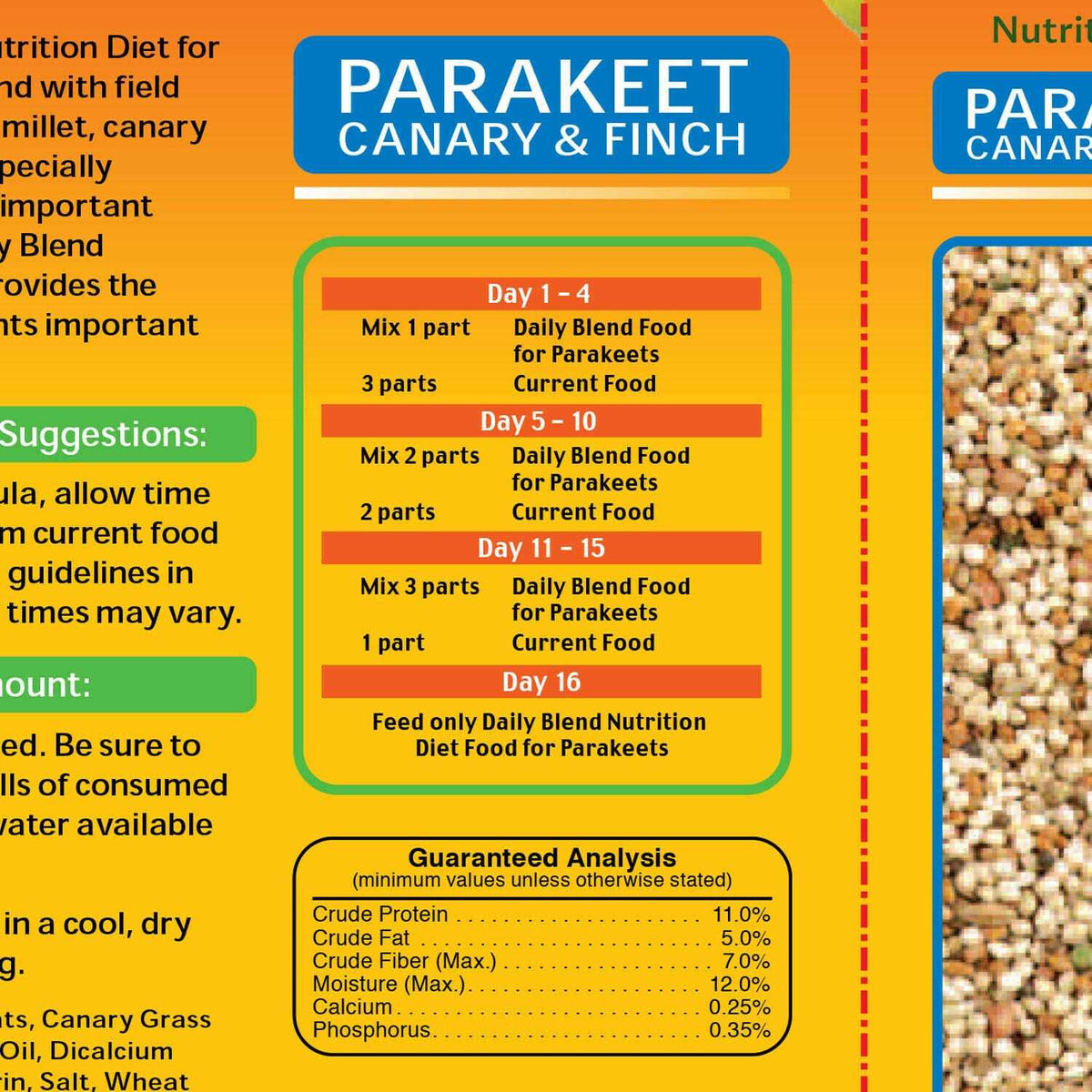 Daily Blend Parakeet V64395