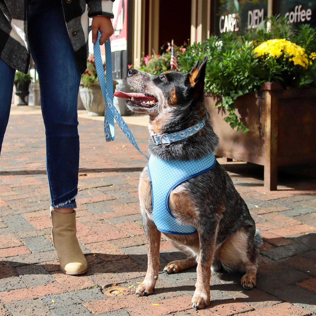 Adjustable Dog Collar K592