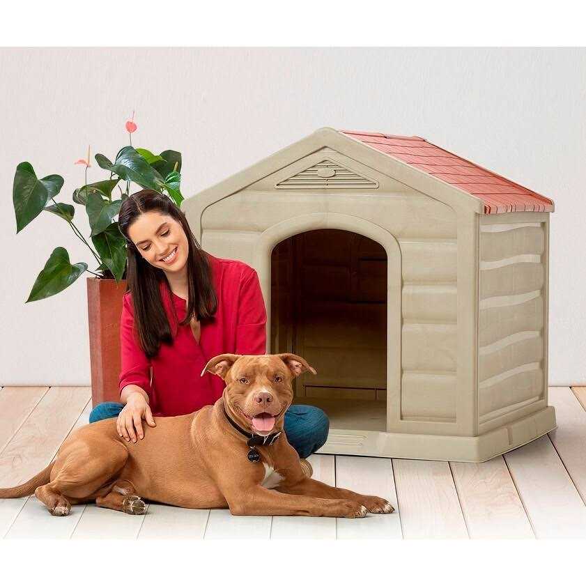 Dog House Q513