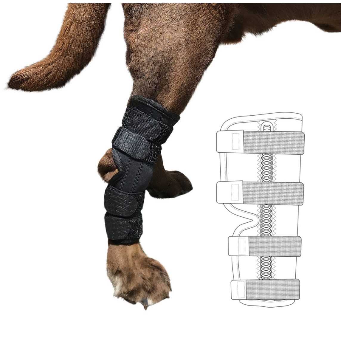 Dog Rear Leg Hock Joint Wrap Brace V663