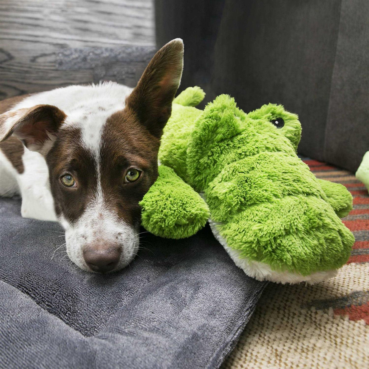 Dog Toy H684201