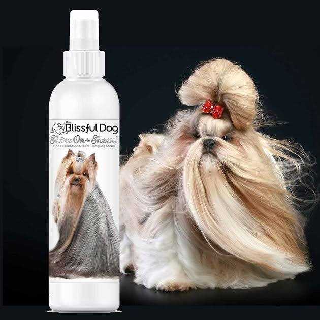 All Natural Leave-in Conditioner and Coat Detangler for Dogs K750371