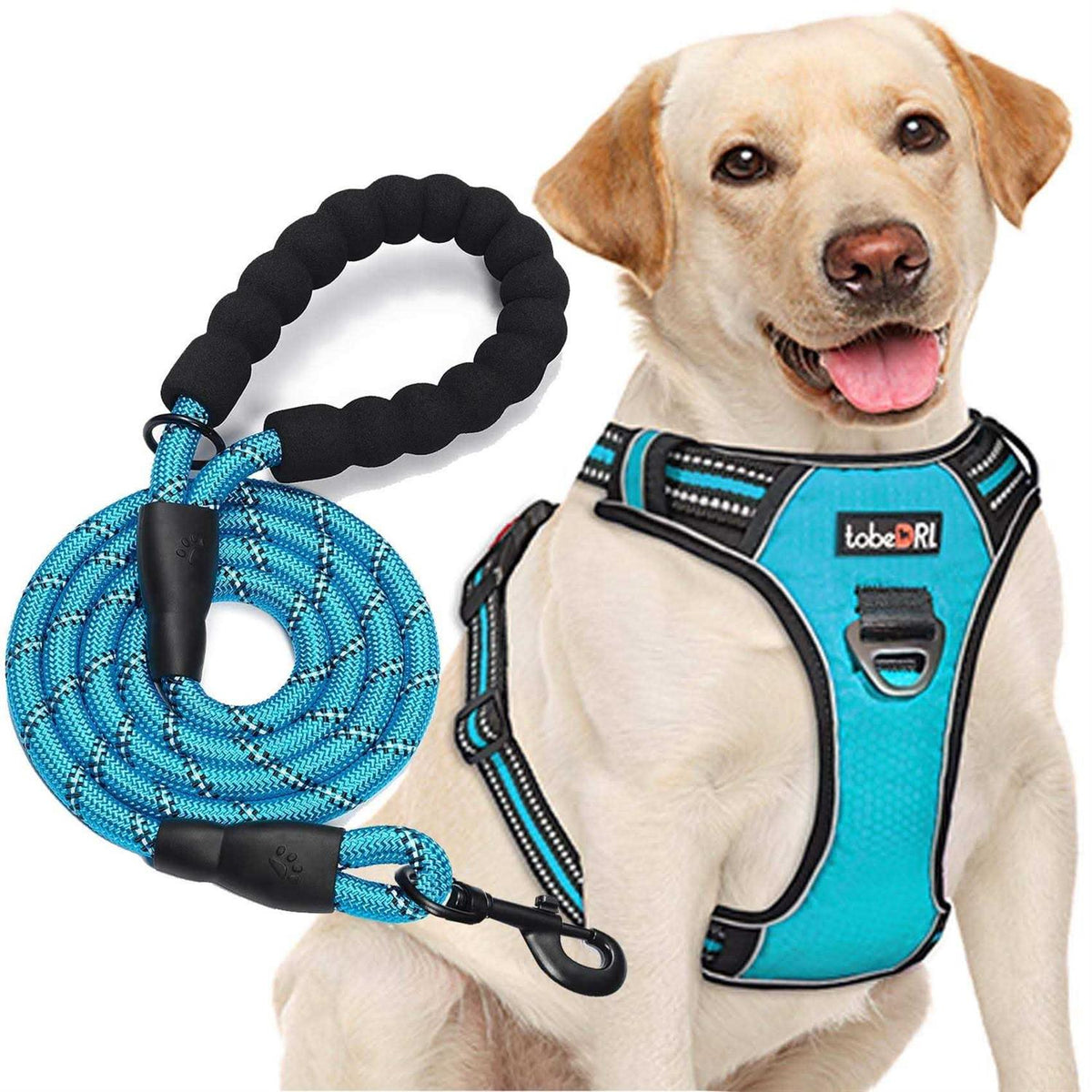 Adjustable Reflective Oxford Dog Harness with 5ft Dog Leash Y522200