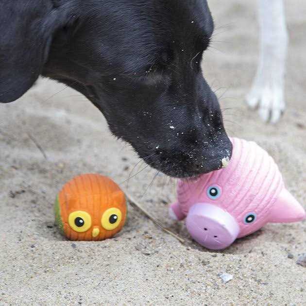 Ruff-Tex Dog Toy Y2739