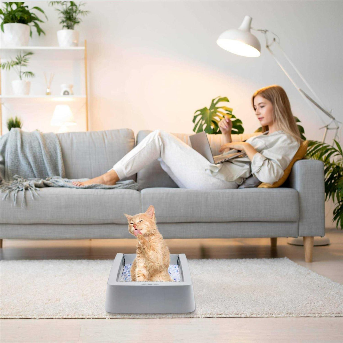 Stainless Steel Reusable Litter Tray D816