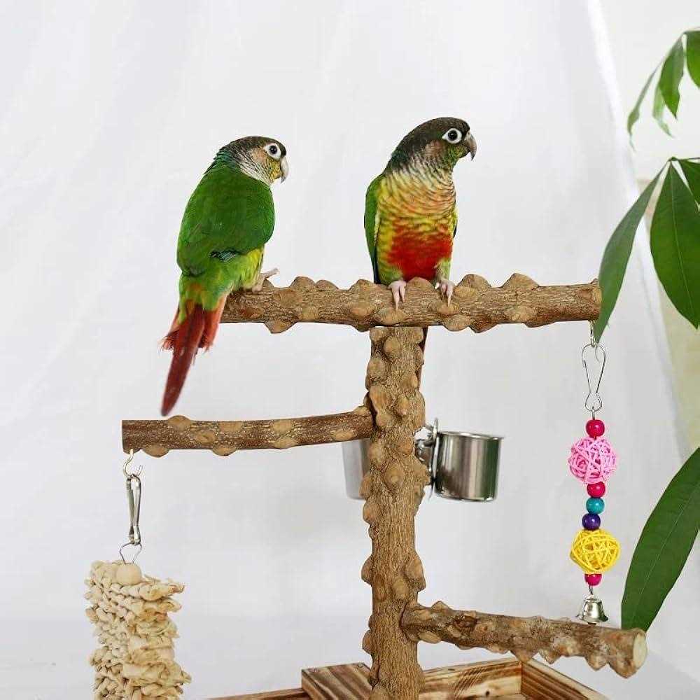 Wood Bird Perch Platform Stand T72082