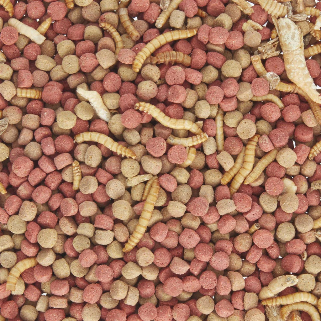 Aquatic Buffet Blend J444