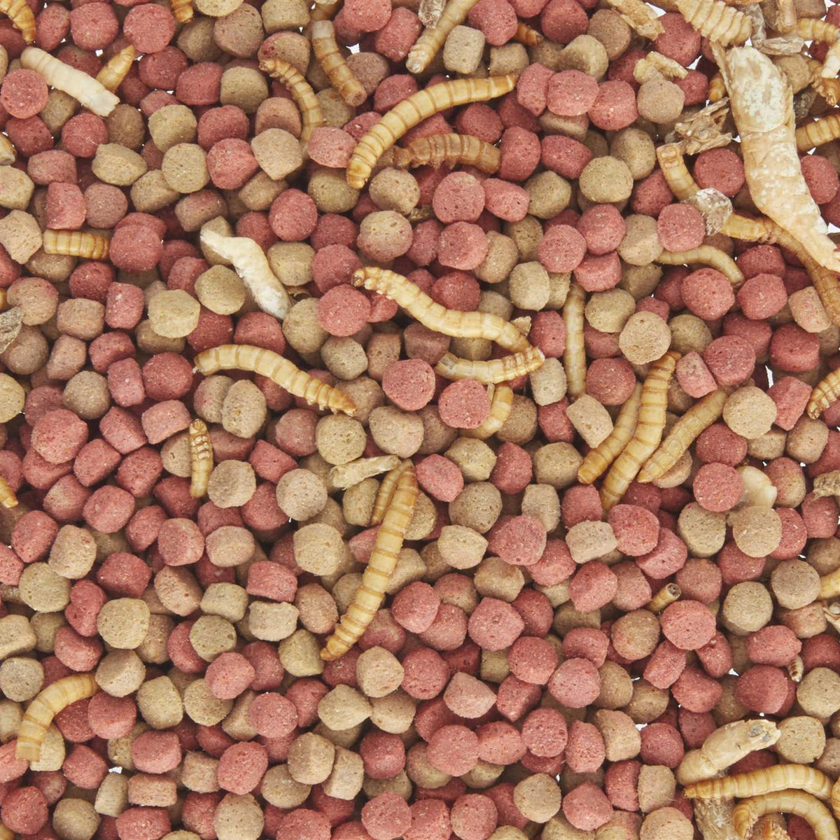 Aquatic Buffet Blend J444