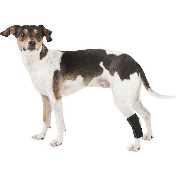 Dog Rear Leg Hock Joint Wrap Brace V663