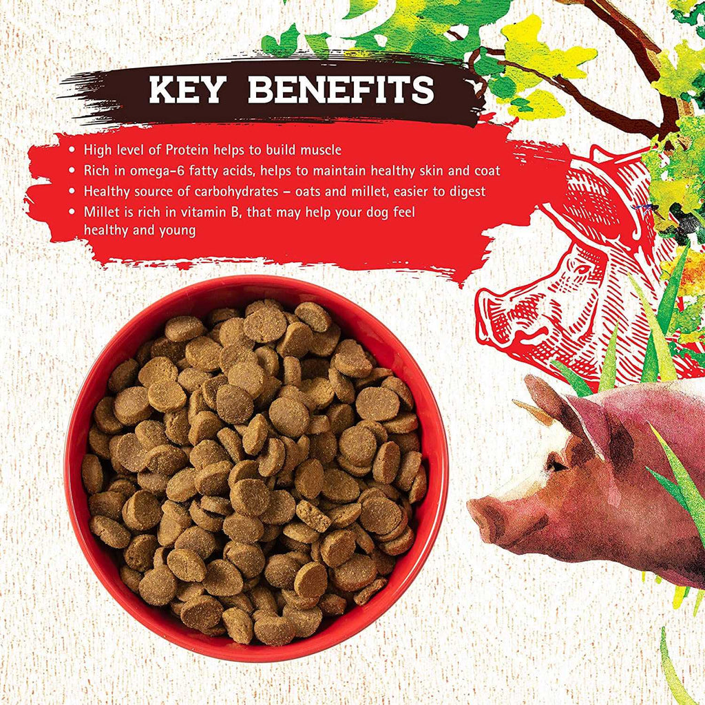Pork Recipe Dog Food M10475