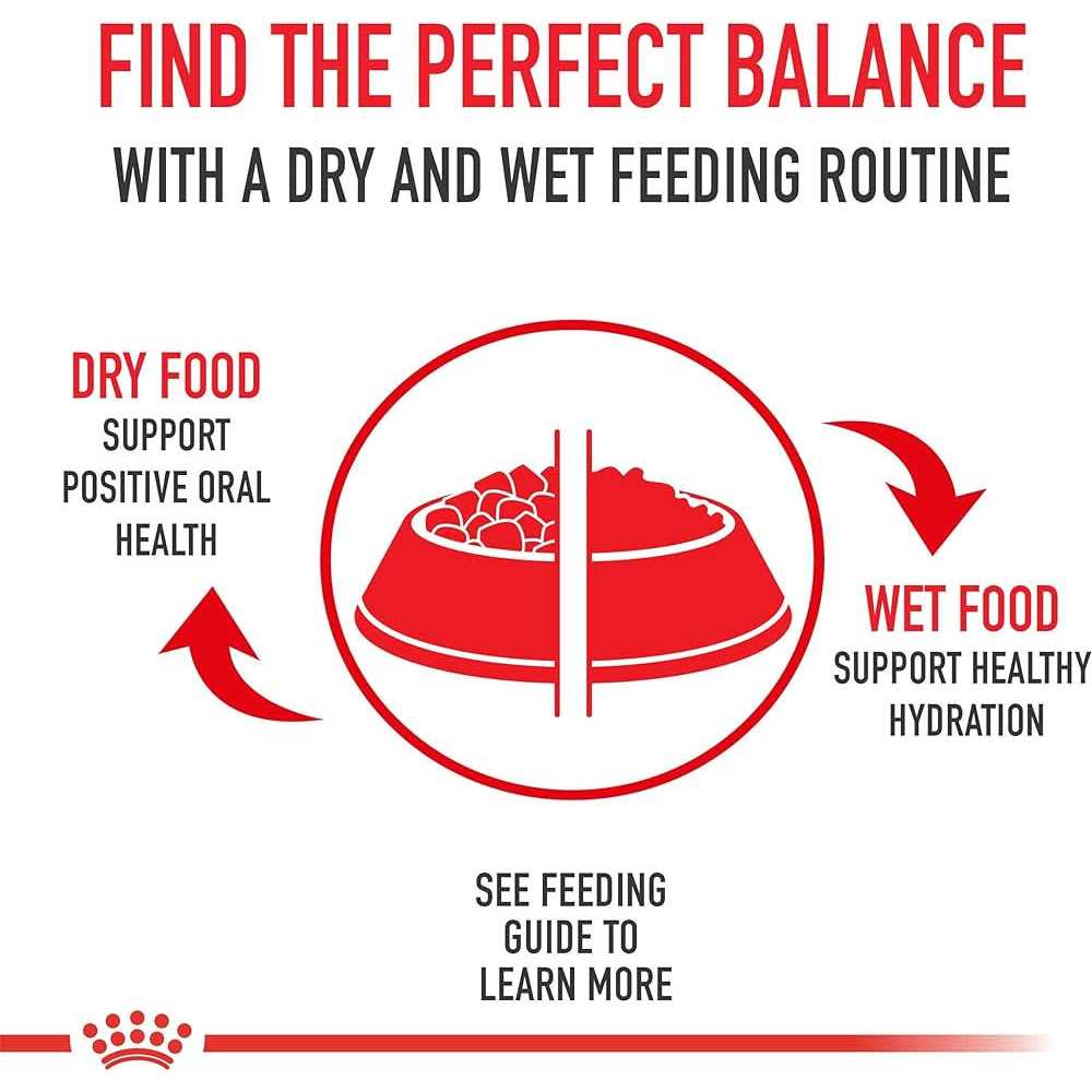Medium Puppy Dry Dog Food H295