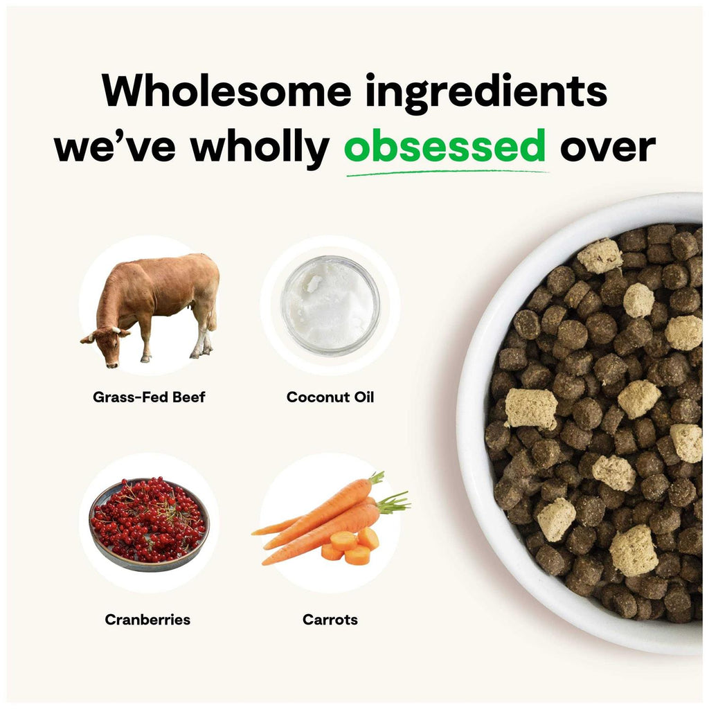 Grain Free Dog Food B3635