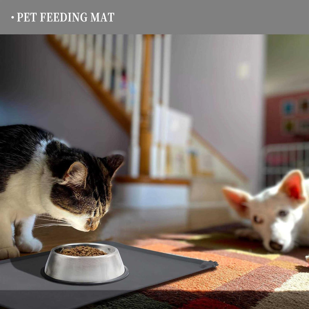 Silicone Dog Cat Bowl Mat Waterproof F291029