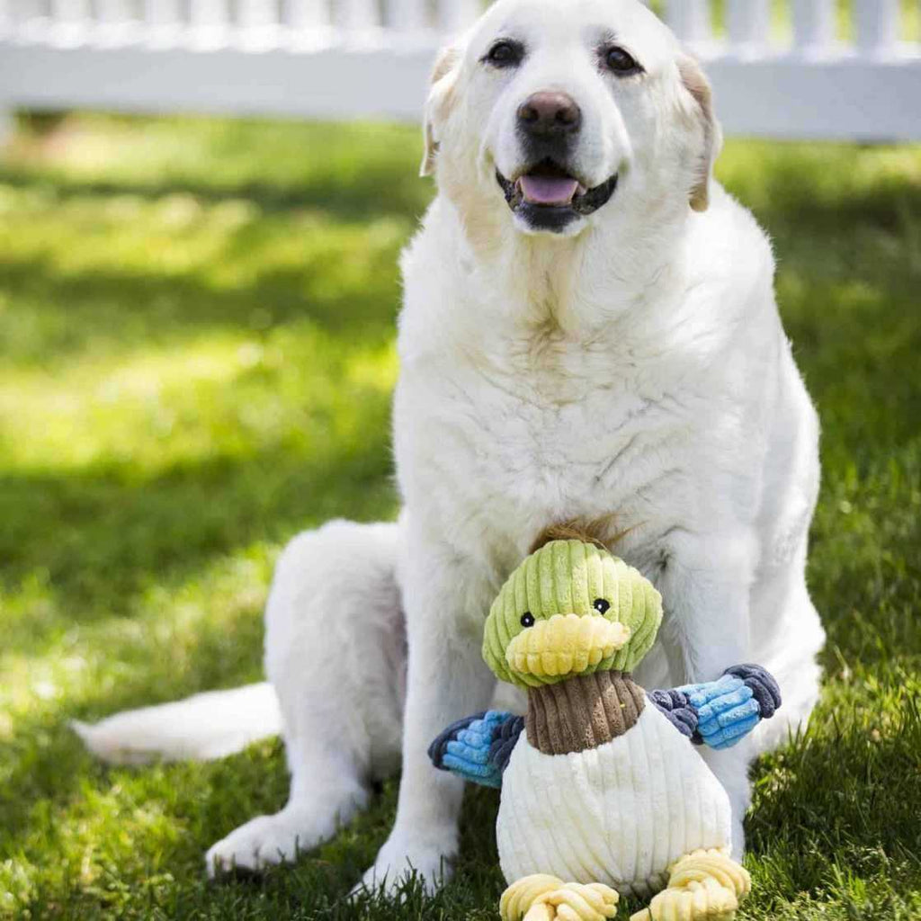 Ruff-Tex Dog Toy Y2739