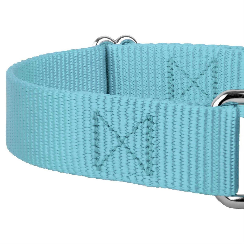 Nylon Dog Collar N576