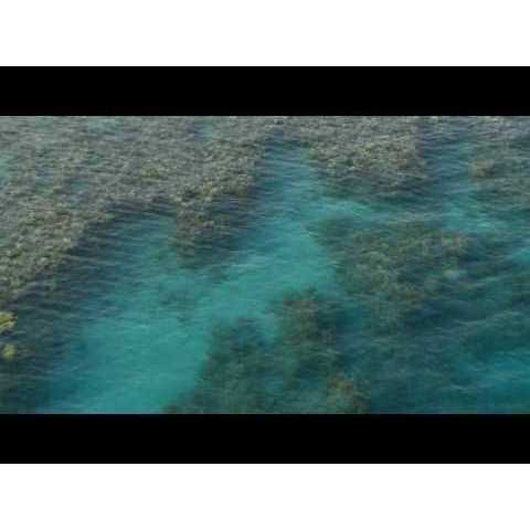 Red Sea Coral Pro Salt D417748