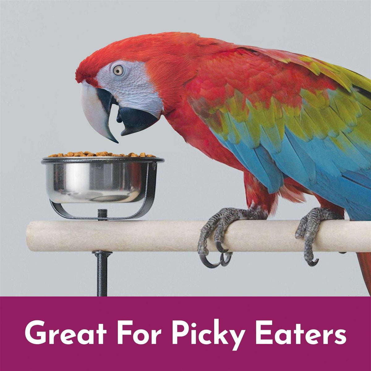 Cockatoo & Macaw Food J469827