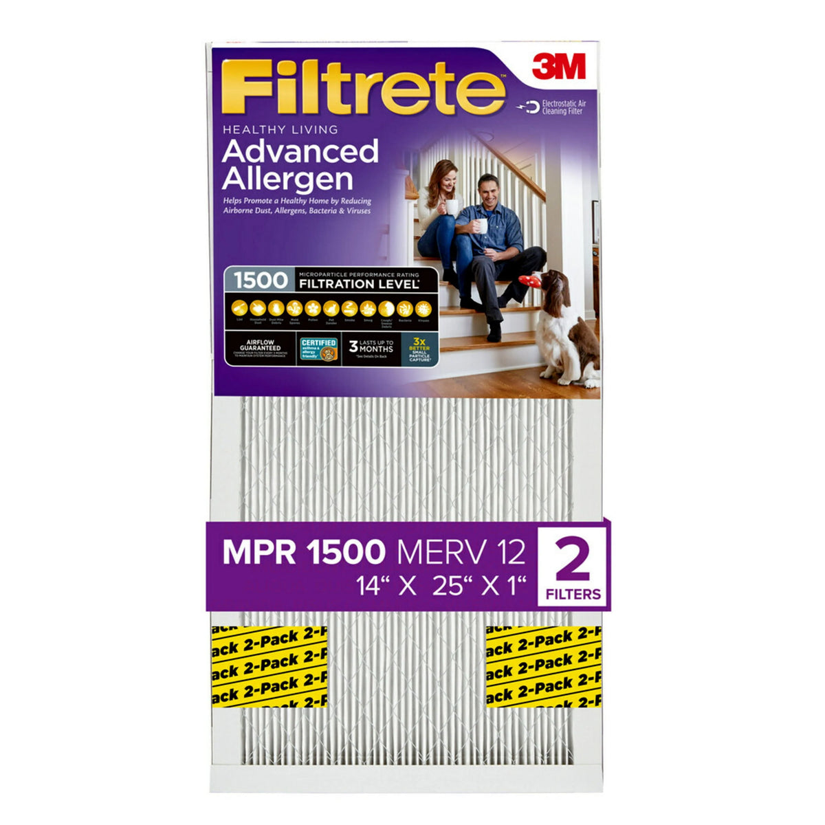 14x25x1 Air Filter, 2 Filters V5024