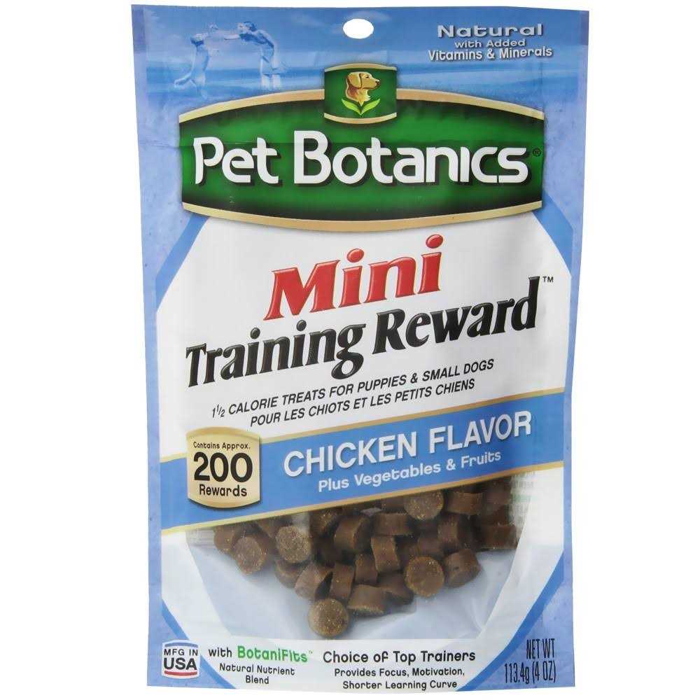 Mini Training Dog D717645