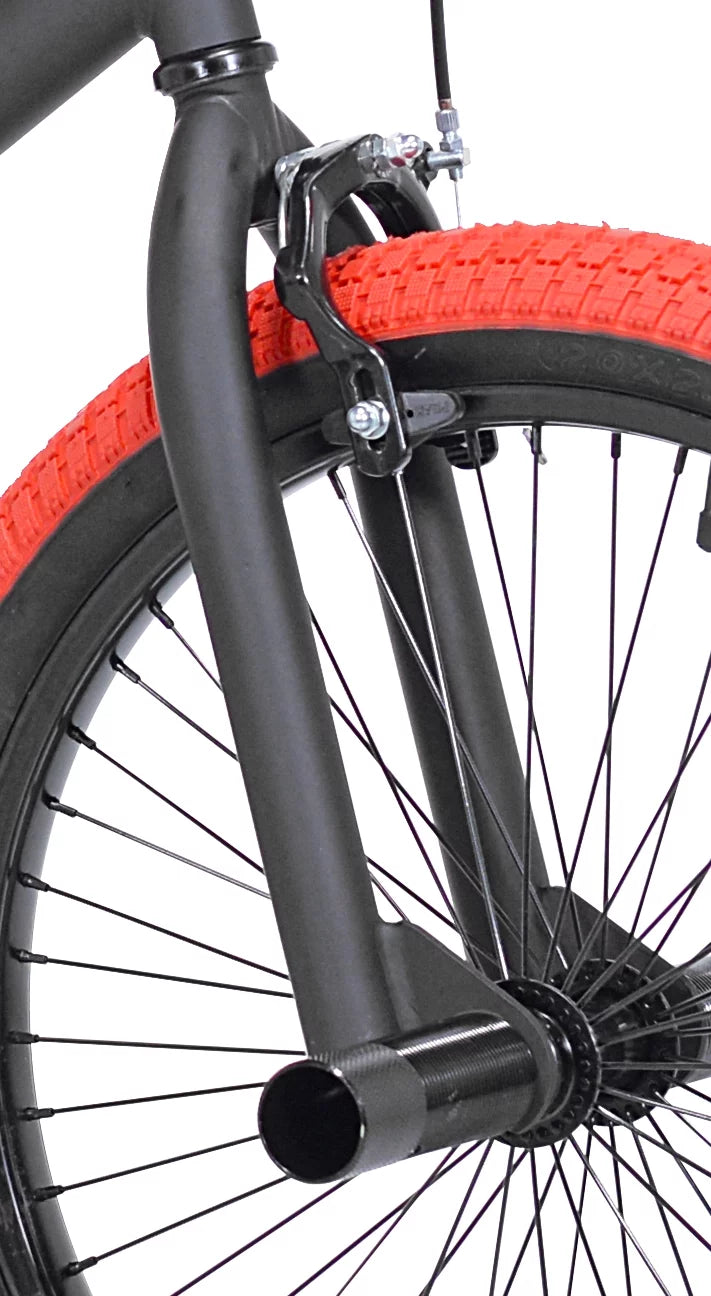 20 In. Black and Red BMX Bike W9724