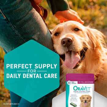 Dental Chews Dogs X202