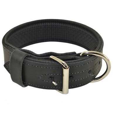 Padded Leather Collar B6858