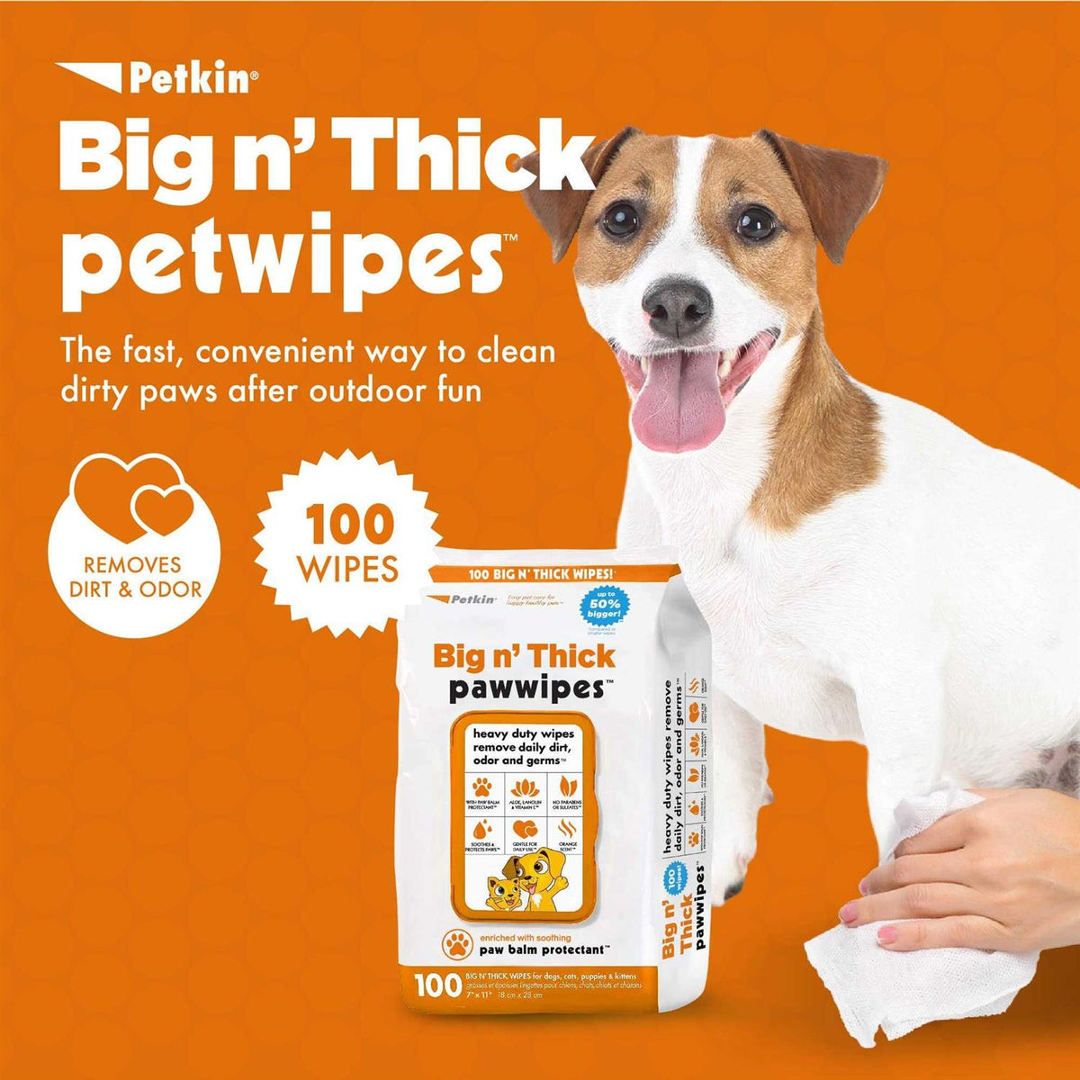 Pet Wipes 100 U935756