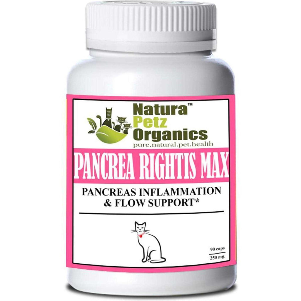 Pancreas Support Capsules for Dogs Cats U191