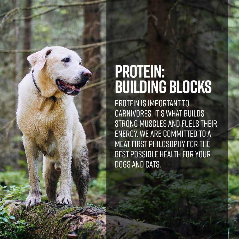 Limited Ingredient Dog Dry Food A1028